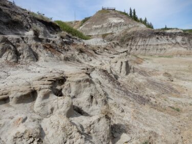 【カナダ】カルガリーにあるドラムヘラーで恐竜の化石発見旅行！